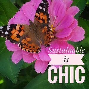 Clean, Well Cared For Items